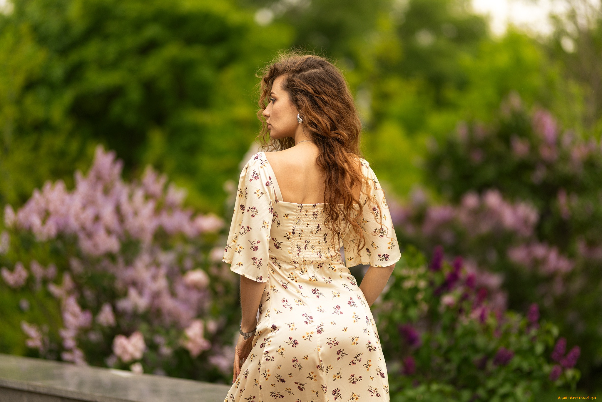 ����������� �������, �������, - ��������,  �������, �������, �������, �������, ������������, �����������, ������, ������, ��������, ������, �����, �������, ��������, ������, ������, �����������, �����, �����, ������, ��������, �����, ����������, ������, �, ���������, ���������, ��, ����������